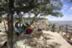 DSCN6320w.jpg (47kb)