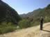 DSCN6400w.jpg (25kb)
