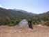 DSCN6402w.jpg (26kb)